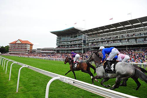 Simenon racing at York in 2013