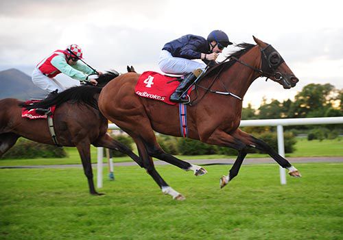Red Rocks Point and Joseph O'Brien pictured on their way to victory