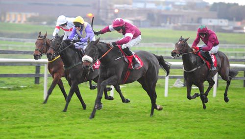 Tycoon Prince (Danny Benson) quickens best to beat Rio Treasure, Russian Bill and Theatre Flame in Galway's finale