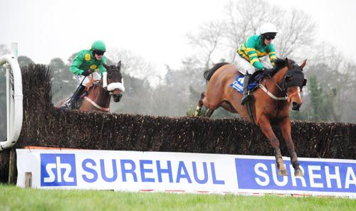 Coolaghknock Glebe and Mark Walsh lead Ibetellingyoualie and Paul Townend home