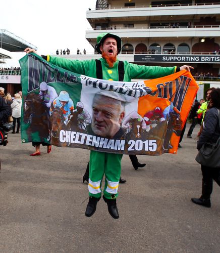 A Willie Mullins fan at Cheltenham