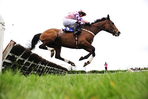Bitofapuzzle gets over the last in Fairyhouse