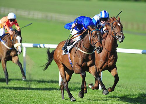 Round Two is driven out by Kevin Manning to beat Argentero (inside)