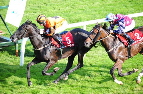 Enough Is Enough proves too good for Rockview Emperor