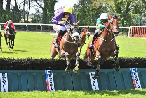 Tigris River (right) and Barry Geraghty beat Zafayan