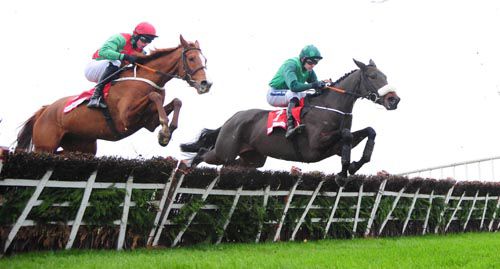 Rashaan and Mikey Fogarty (nearside) jumps up to join Missy Tata and Ruby Walsh