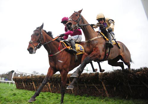 Identity Thief touches down ahead of Nichols Canyon in Ryanair Hurdle at Leopardstown