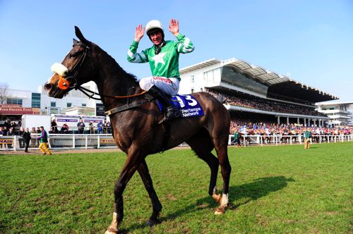 Mall Dini won the 2016 Pertemps Handicap Hurdle at Cheltenham 