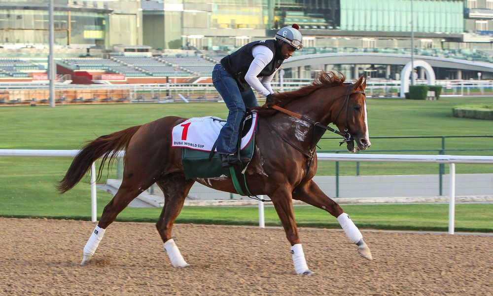 California Chrome won the 2014 Kentucky Derby and 2016 Dubai World Cup