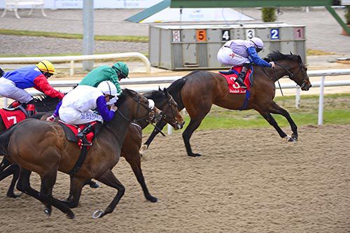 Ardhoomey leads his rivals home under Colin Keane