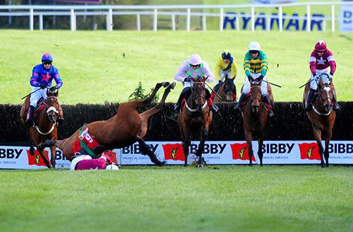 2016 Carlingford Lough (second from right) as Road To Riches crashes out