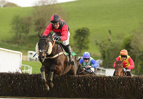 Redclue jumps the last to win in Downpatrick