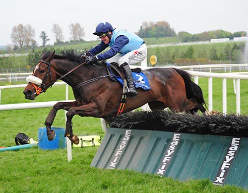 Billy's Hope and Robbie Power jump the last