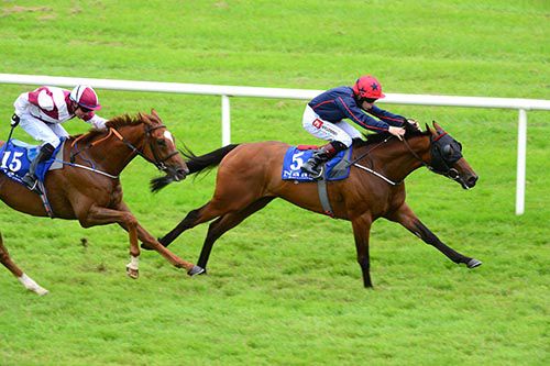 Intrepid Prince is pushed out by Leigh Roche to beat Three Star Lion