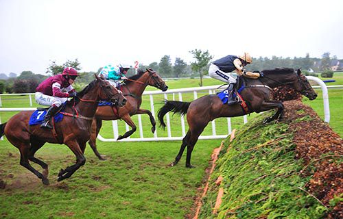Briar Hill (Ruby Walsh) on his way to victory over Marinero and Buster Dan Dan (far side)