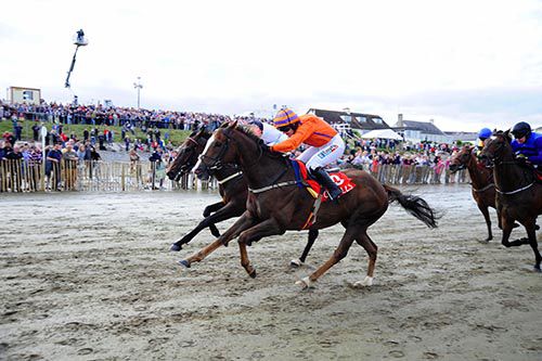 Korbus and Katie Walsh hold on from Beechmount Whisper