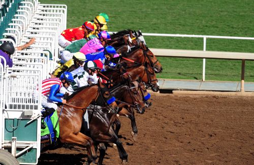 Runners leaving the gate for an American race