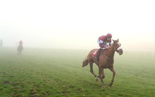 Samcro emerges from the fog in Punchestown