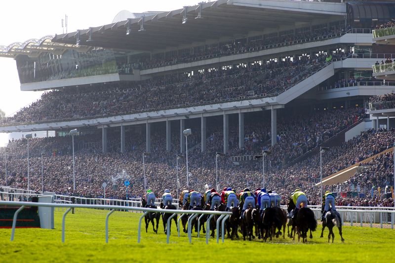 Cheltenham action