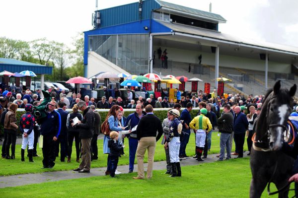 A scene from the parade ring at Navan Racecourse
