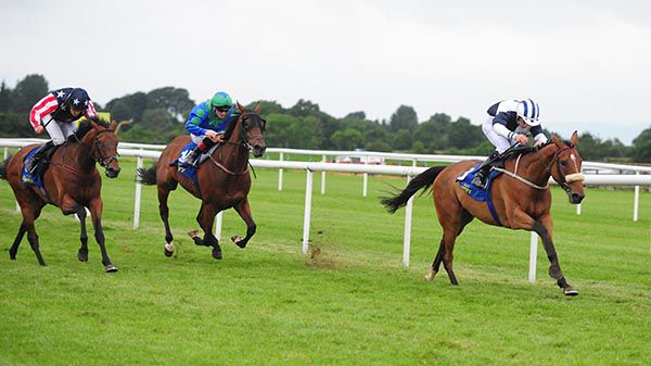 Lucca (noseband) leads home Trump Card and Lizard Point (blue and green)