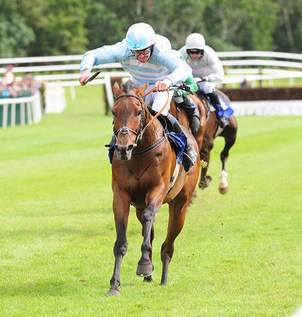 Stars Over The Sea and Davy Roche winning the void race at Killarney