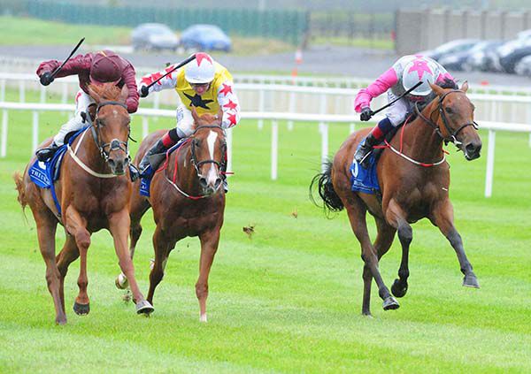 Treasuring (left) beating Goodthingstaketime (right) and Sirici