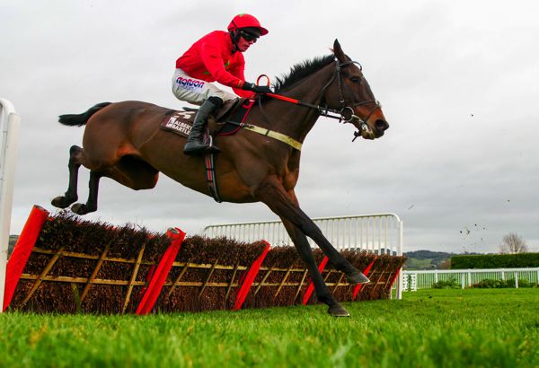 Kilbricken Storm won at Cheltenham last year