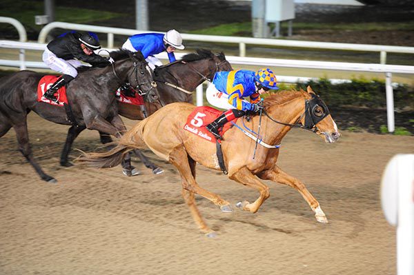 Nulife wins the finale at Dundalk under Colin Keane