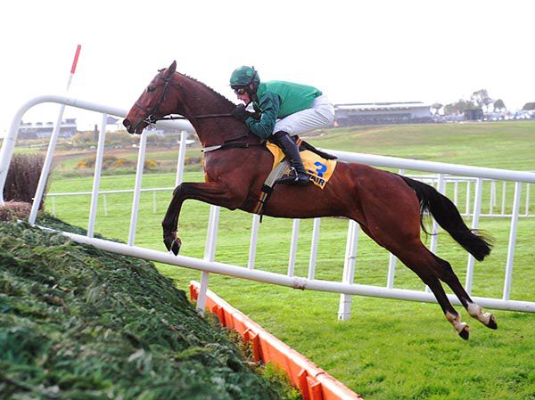 Perfection - Footpad and Daryl Jacob