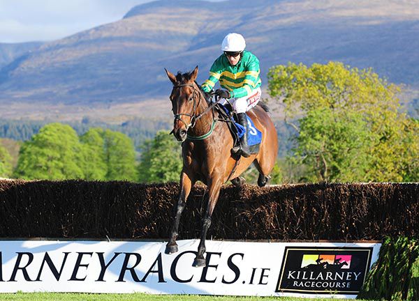 Ballyoisin jumps the last in picturesque Killarney
