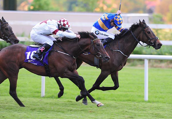 Beach Wedding (nearest) powers home under Rory Cleary to beat Bella Figura