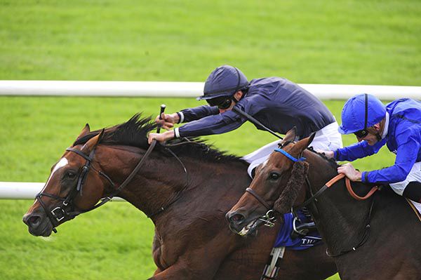 Flag Of Honour gets the better of Twilight Payment