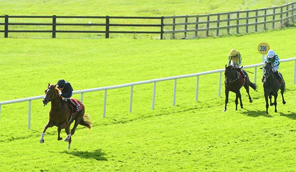 Sovereign and Donnacha O'Brien seen here winning easily at Galway