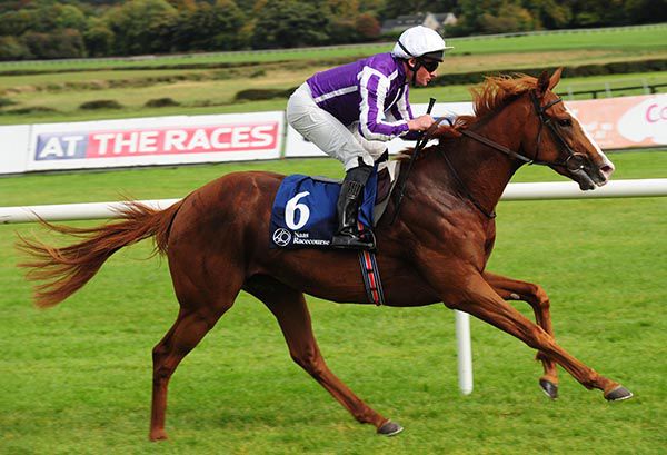 Norway comes home clear in Naas