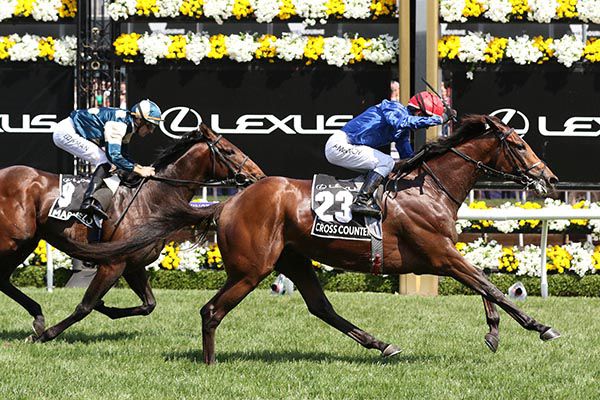 Cross Counter won the 2018 Melbourne Cup