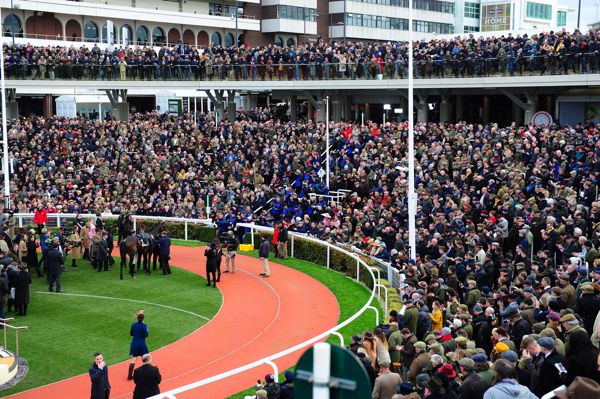 Crowds greet Altior after 2019 Champion Chase victory