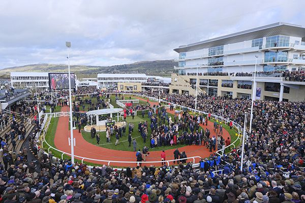 7 of the Bonus Races are at the Cheltenham Festival