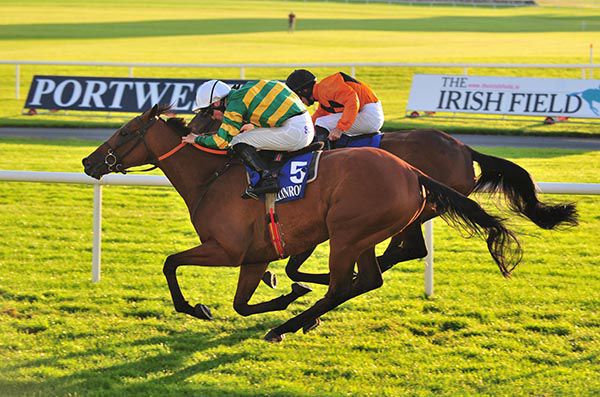 Rock De Baune (Tom Madden, nearside) got there to touch off Tritonix (Rory Cleary)