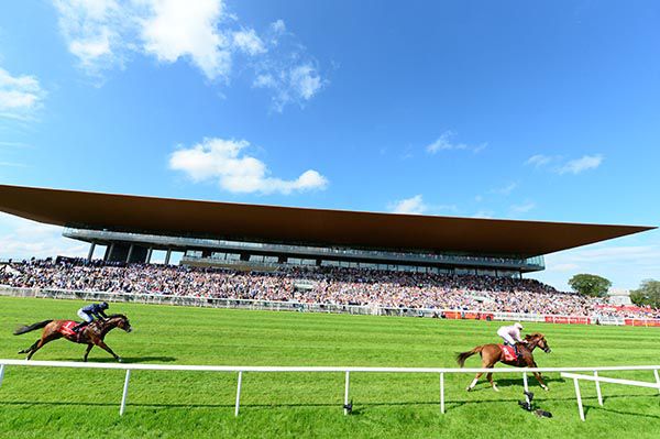 Sovereign is followed home by Anthony Van Dyck