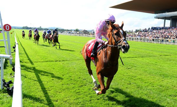 Sovereign clear of his rivals passing the line at the Curragh