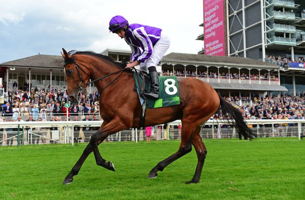 Japan pictured at York