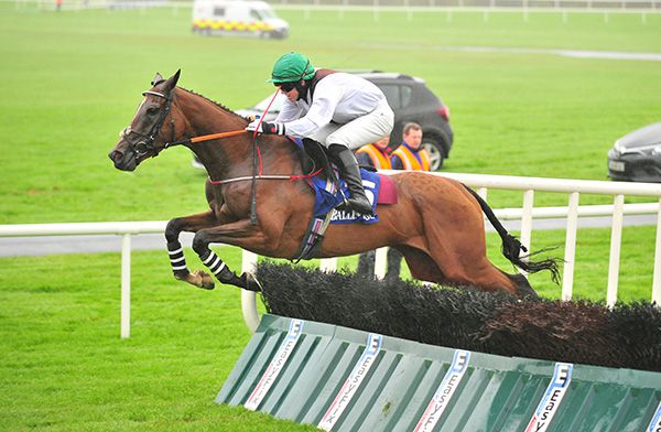 Waitnsee and Darragh O'Keeffe pictured on their way to victory