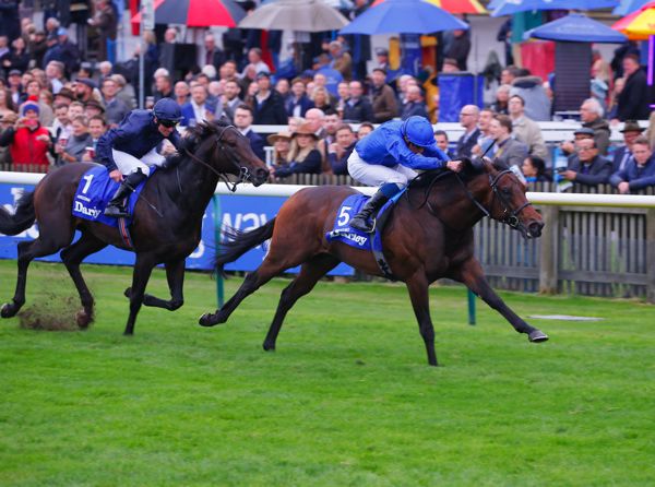 Pinatubo beating Arizona at Newmarket in October