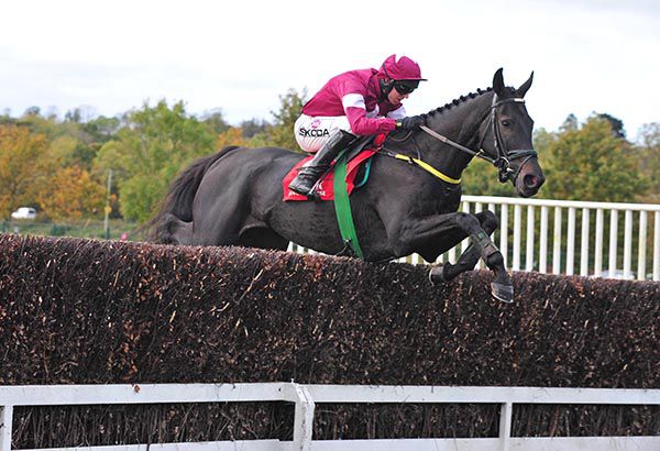 Dream Conti has been well backed for the handicap chase (7.45) at Kilbeggan 