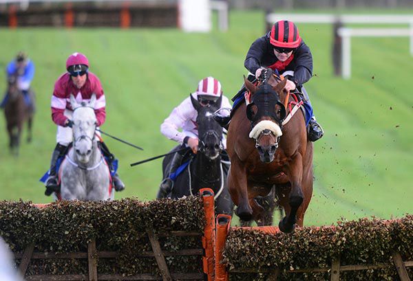 Peregrine Run and Kevin Sexton have their Thurles rivals well covered