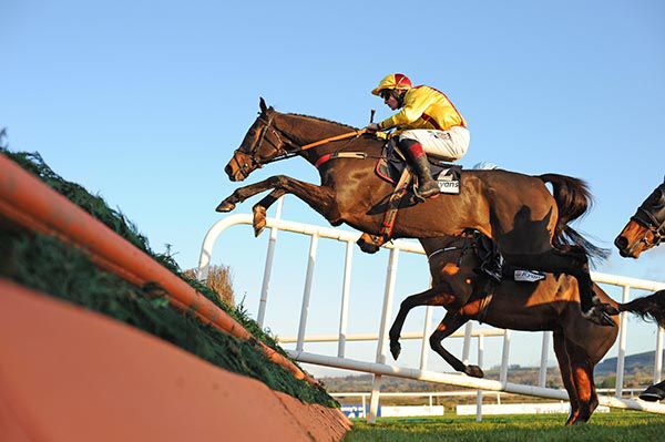 Freewheelin Dylan is spring-heeled for Ricky Doyle at Punchestown