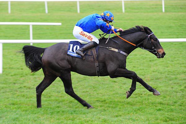 The Jam Man had valid excuse for below par Fairyhouse run