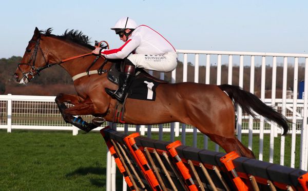 Goshen is 9/2 to win the Champion Hurdle at Cheltenham