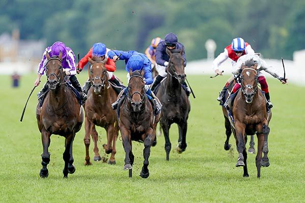 Group 1 action from Royal Ascot last week